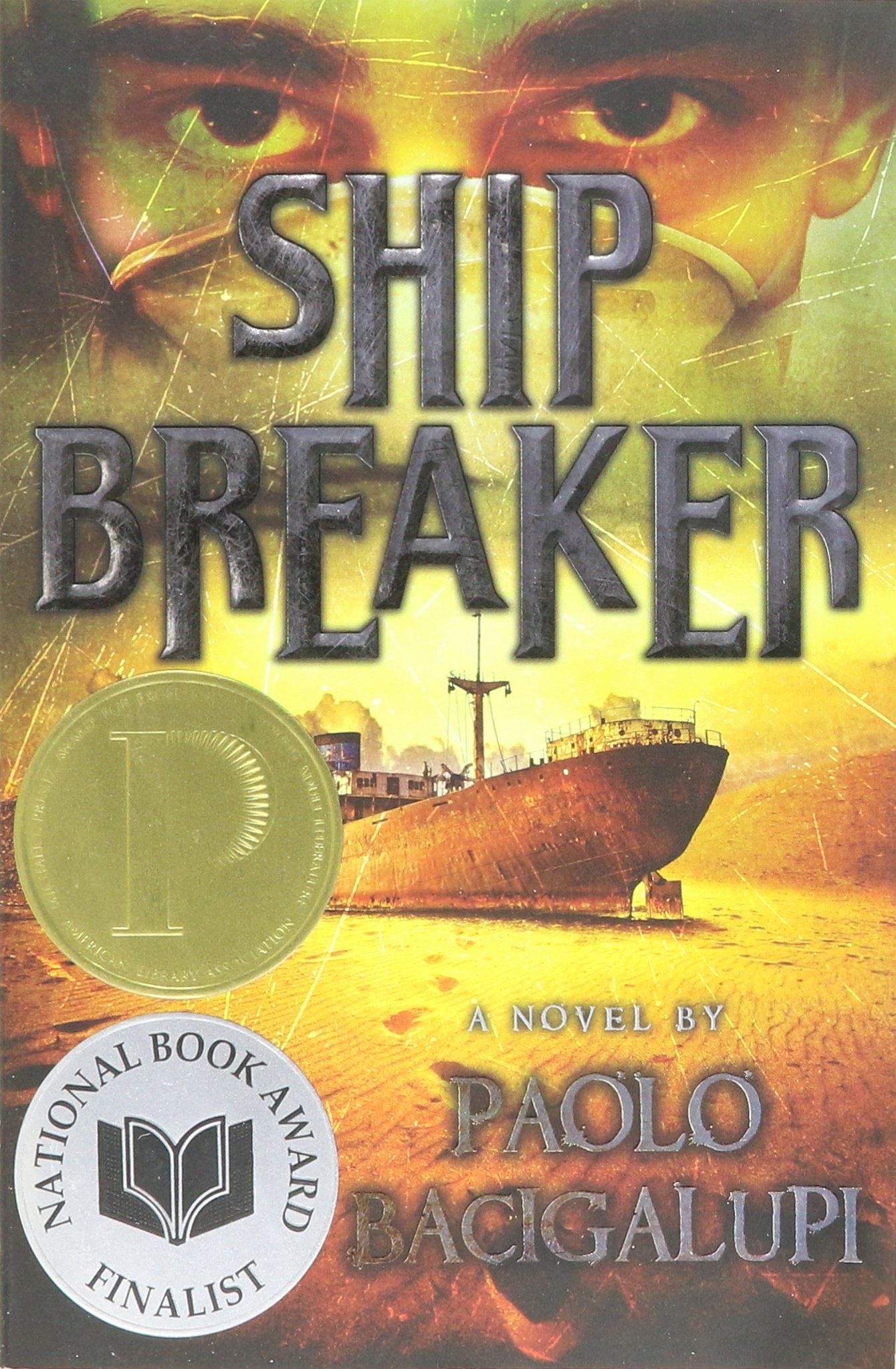 ship breaker